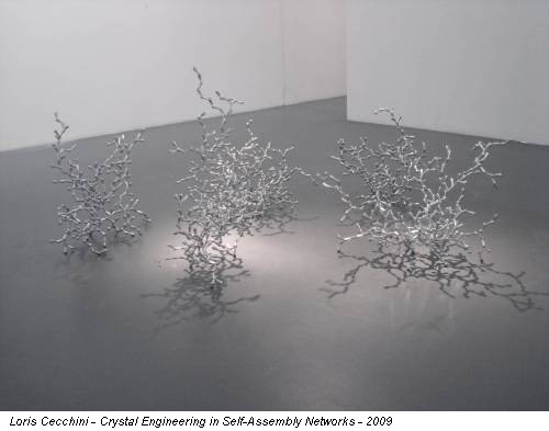 Loris Cecchini - Crystal Engineering in Self-Assembly Networks - 2009