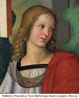 Raffaello (Pinacoteca Tosio Martinengo) Busto di angelo. Brescia