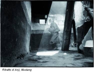 Ritratto di Anji, Mustang