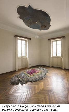 Easy come, Easy go. Enciclopedia dei fiori da giardino. Pampurzini. Courtasy Casa Testori