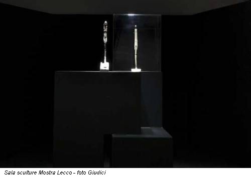 Sala sculture Mostra Lecco - foto Giudici