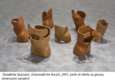 Donatella Spaziani, Grammatiche fossili, 2007, pelle di vitello su gesso, dimensioni variabili