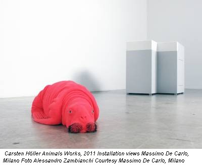 Carsten Höller Animals Works, 2011 Installation views Massimo De Carlo, Milano Foto Alessandro Zambianchi Courtesy Massimo De Carlo, Milano