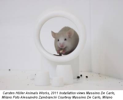 Carsten Höller Animals Works, 2011 Installation views Massimo De Carlo, Milano Foto Alessandro Zambianchi Courtesy Massimo De Carlo, Milano
