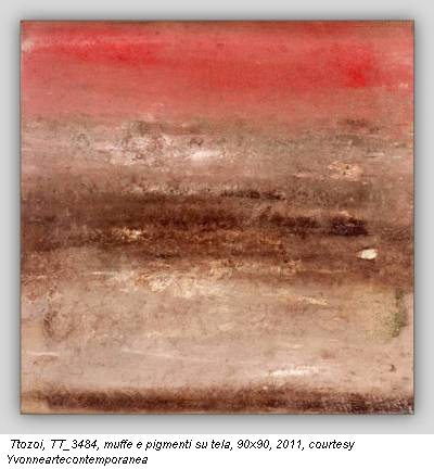 Ttozoi, TT_3484, muffe e pigmenti su tela, 90x90, 2011, courtesy Yvonneartecontemporanea