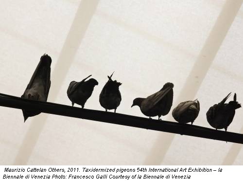 Maurizio Cattelan Others, 2011. Taxidermized pigeons 54th International Art Exhibition – la Biennale di Venezia Photo: Francesco Galli Courtesy of la Biennale di Venezia