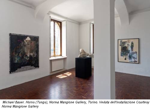 Michael Bauer. Horns (Tungs), Norma Mangione Gallery, Torino. Veduta dell'installazione Courtesy Norma Mangione Gallery