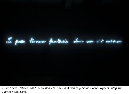 Peter Friedl, Untitled, 2011, neon, 600 x 38 cm. Ed. 3 Courtesy Guido Costa Projects, fotografie Courtesy Yael Duval