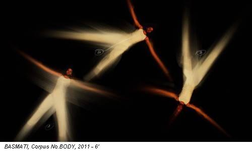 BASMATI, Corpus No.BODY, 2011 - 6’