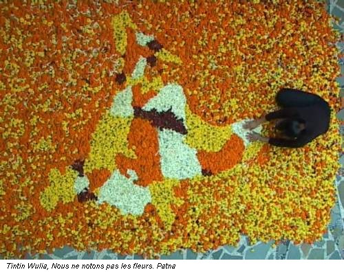 Tintin Wulia, Nous ne notons pas les fleurs. Patna
