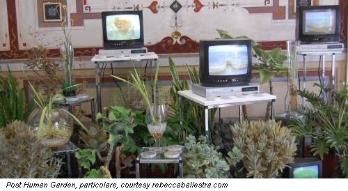 Post Human Garden, particolare, courtesy rebeccaballestra.com