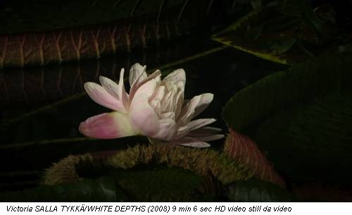 Victoria SALLA TYKKÄ/WHITE DEPTHS (2008) 9 min 6 sec HD video still da video