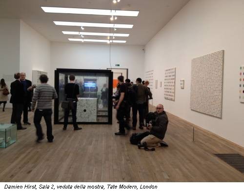Damien Hirst, Sala 2, veduta della mostra, Tate Modern, London