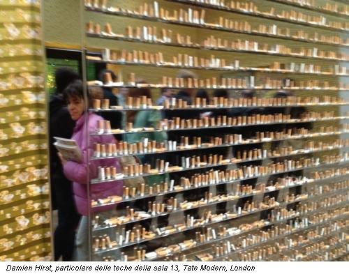 Damien Hirst, particolare delle teche della sala 13, Tate Modern, London