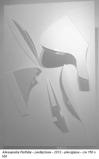 Alessandra Porfidia - Levitazione - 2012 - plexiglass - cm 150 x 100