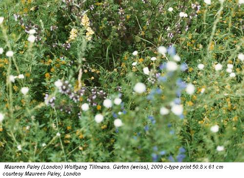 Maureen Paley (London) Wolfgang Tillmans. Garten (weiss), 2009 c-type print 50.8 x 61 cm courtesy Maureen Paley, London