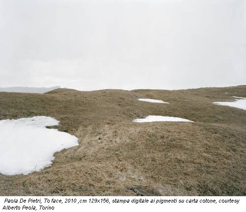 Paola De Pietri, To face, 2010 ,cm 129x156, stampa digitale ai pigmenti su carta cotone, courtesy Alberto Peola, Torino