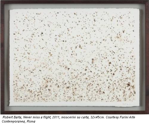 Robert Barta, Never miss a flight, 2011, moscerini su carta, 32x45cm. Courtesy Furini Arte Contemporanea, Roma