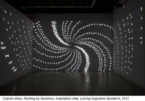 Charles Atlas, Painting by Numbers, Installation view, Luhring Augustine Bushwick, 2012