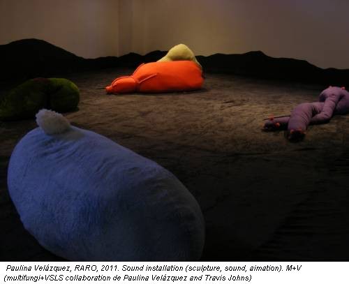 Paulina Velázquez, RARO, 2011. Sound installation (sculpture, sound, aimation). M+V (multifungi+VSLS collaboration de Paulina Velázquez and Travis Johns)