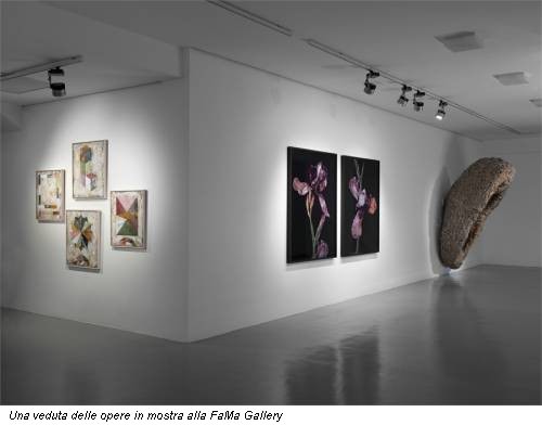 Una veduta delle opere in mostra alla FaMa Gallery