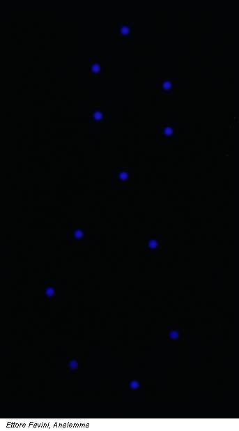 Ettore Favini, Analemma