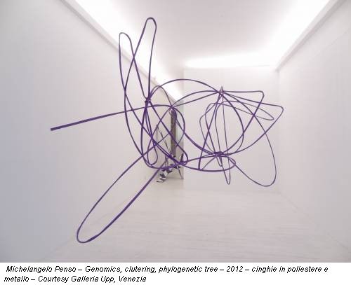 Michelangelo Penso – Genomics, clutering, phylogenetic tree – 2012 – cinghie in poliestere e metallo – Courtesy Galleria Upp, Venezia