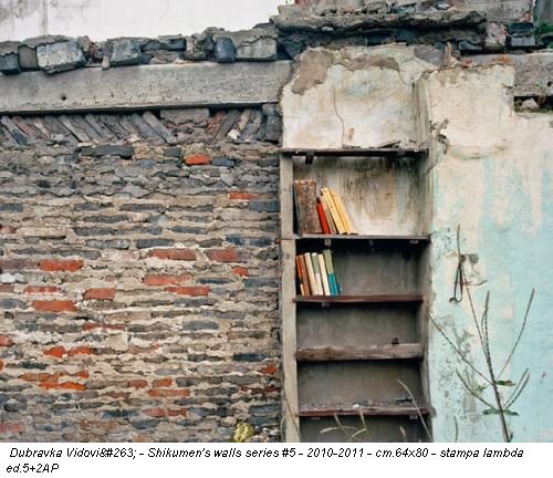 Dubravka Vidović - Shikumen's walls series #5 - 2010-2011 - cm.64x80 - stampa lambda ed.5+2AP