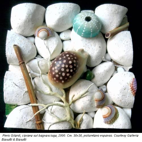 Piero Gilardi, cipraea sul bagnasciuga, 2000. Cm. 30x30, poliuretano espanso. Courtesy Galleria Biasutti & Biasutti