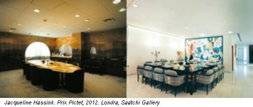 Jacqueline Hassink. Prix Pictet, 2012. Londra, Saatchi Gallery