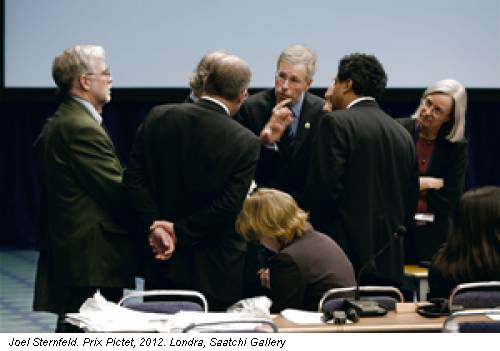Joel Sternfeld. Prix Pictet, 2012. Londra, Saatchi Gallery