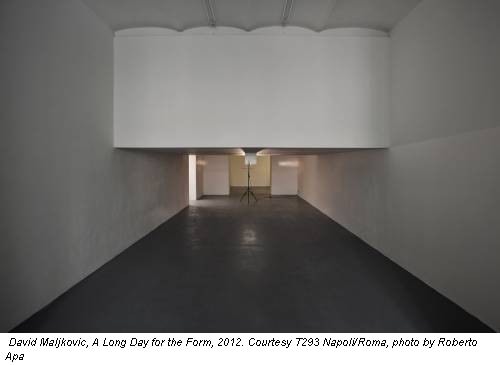 David Maljkovic, A Long Day for the Form, 2012. Courtesy T293 Napoli/Roma, photo by Roberto Apa