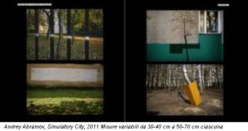 Andrey Abramov, Simulatory City, 2011 Misure variabili da 30-40 cm a 50-70 cm ciascuna