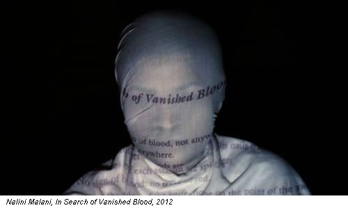 Nalini Malani, In Search of Vanished Blood, 2012