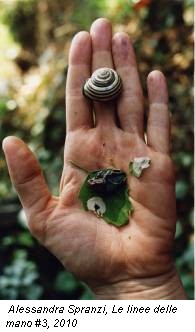 Alessandra Spranzi, Le linee delle mano #3, 2010