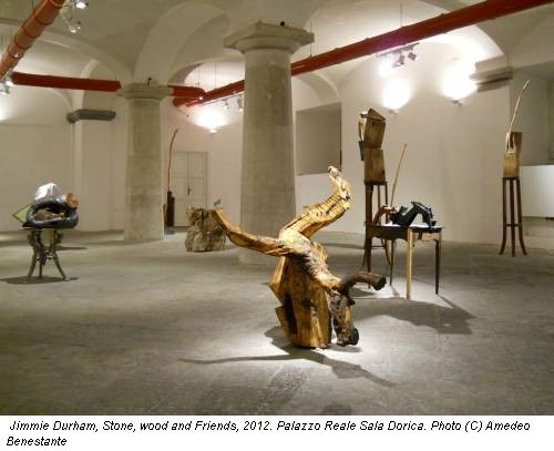 Jimmie Durham, Stone, wood and Friends, 2012. Palazzo Reale Sala Dorica. Photo (C) Amedeo Benestante