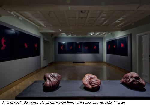 Andrea Fogli. Ogni cosa, Roma Casino dei Principi. Installation view. Foto di Abate