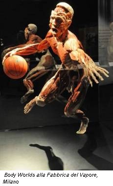 Body Worlds alla Fabbrica del Vapore, Milano