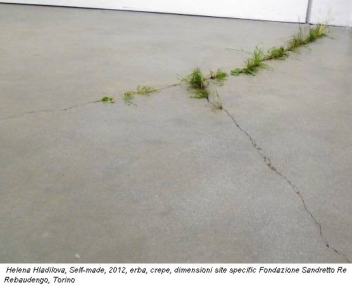 Helena Hladilova, Self-made, 2012, erba, crepe, dimensioni site specific Fondazione Sandretto Re Rebaudengo, Torino