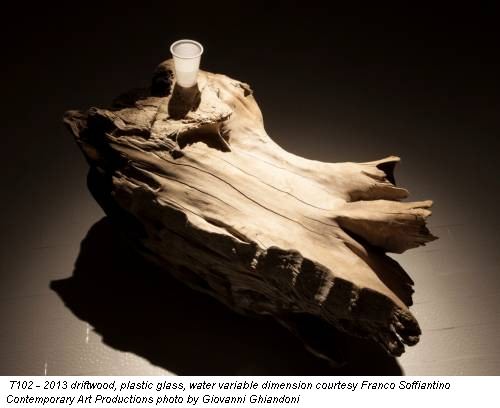 T102 - 2013 driftwood, plastic glass, water variable dimension courtesy Franco Soffiantino Contemporary Art Productions photo by Giovanni Ghiandoni