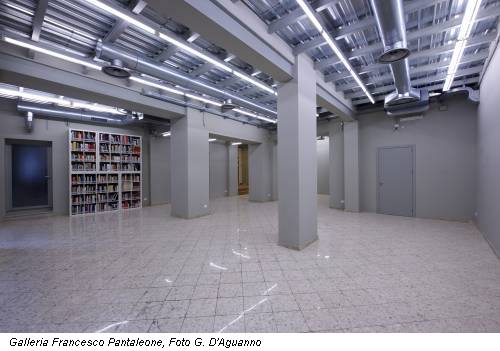 Galleria Francesco Pantaleone, Foto G. D'Aguanno