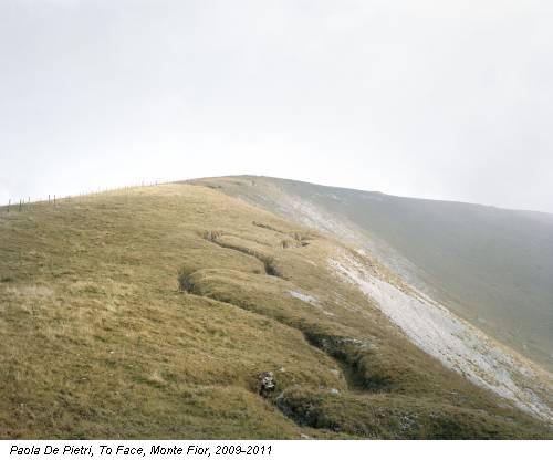 Paola De Pietri, To Face, Monte Fior, 2009-2011