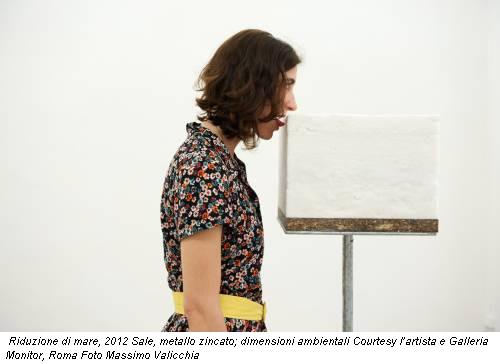 Riduzione di mare, 2012 Sale, metallo zincato; dimensioni ambientali Courtesy l’artista e Galleria Monitor, Roma Foto Massimo Valicchia