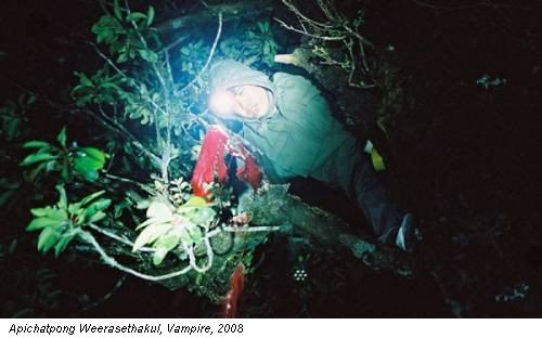 Apichatpong Weerasethakul, Vampire, 2008