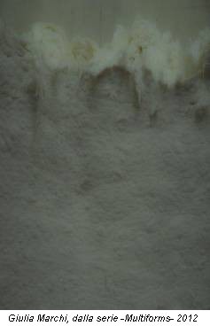 Giulia Marchi, dalla serie -Multiforms- 2012
