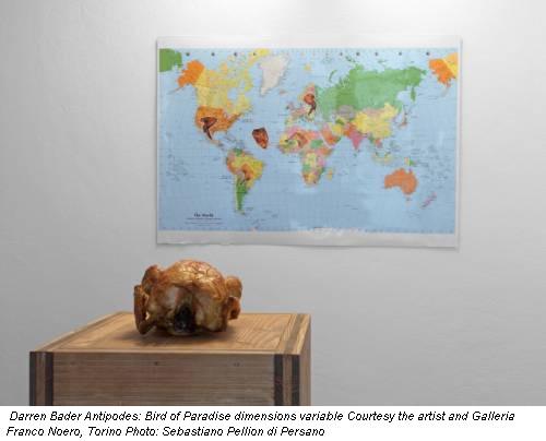  Darren Bader Antipodes: Bird of Paradise dimensions variable Courtesy the artist and Galleria Franco Noero, Torino Photo: Sebastiano Pellion di Persano
