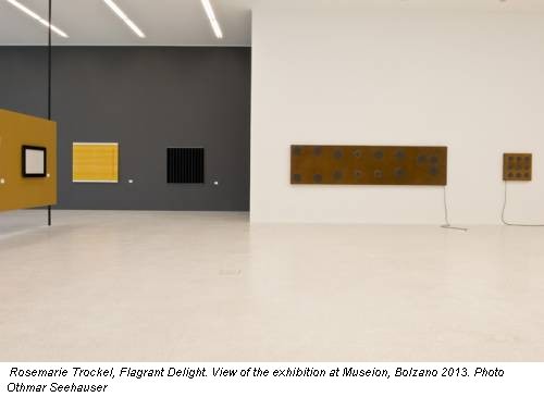 Rosemarie Trockel, Flagrant Delight. View of the exhibition at Museion, Bolzano 2013. Photo Othmar Seehauser