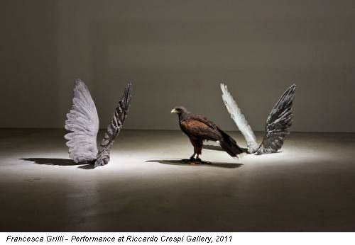 Francesca Grilli - Performance at Riccardo Crespi Gallery, 2011