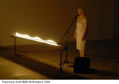 Francesca Grilli Moth Performance 2009
