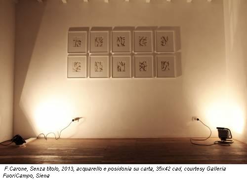 F.Carone, Senza titolo, 2013, acquarello e poseidonia su carta, 35x42 cad, courtesy Galleria FuoriCampo, Siena